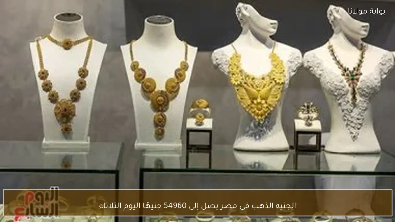 الجنيه الذهب في مصر يصل إلى 54960 جنيهًا اليوم الثلاثاء