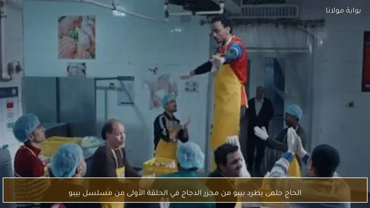 الحاج حلمى يطرد بيبو من مجزر الدجاج في الحلقة الأولى من مسلسل بيبو