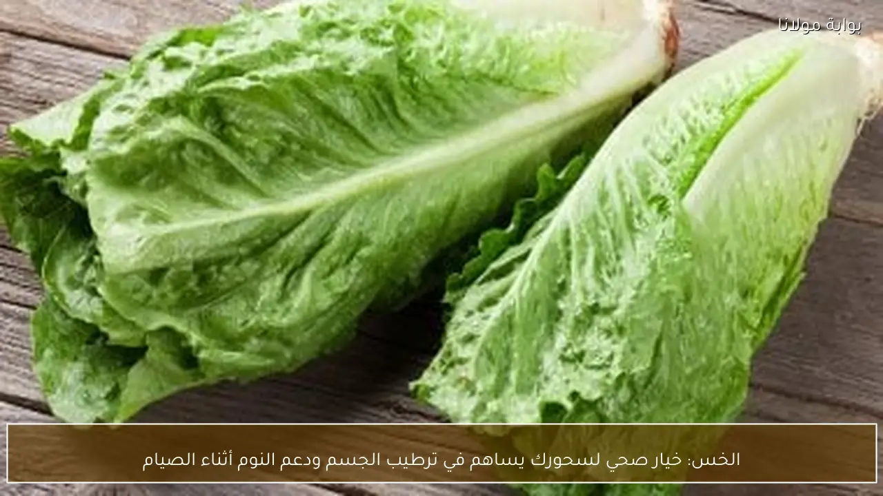 الخس: خيار صحي لسحورك يساهم في ترطيب الجسم ودعم النوم أثناء الصيام