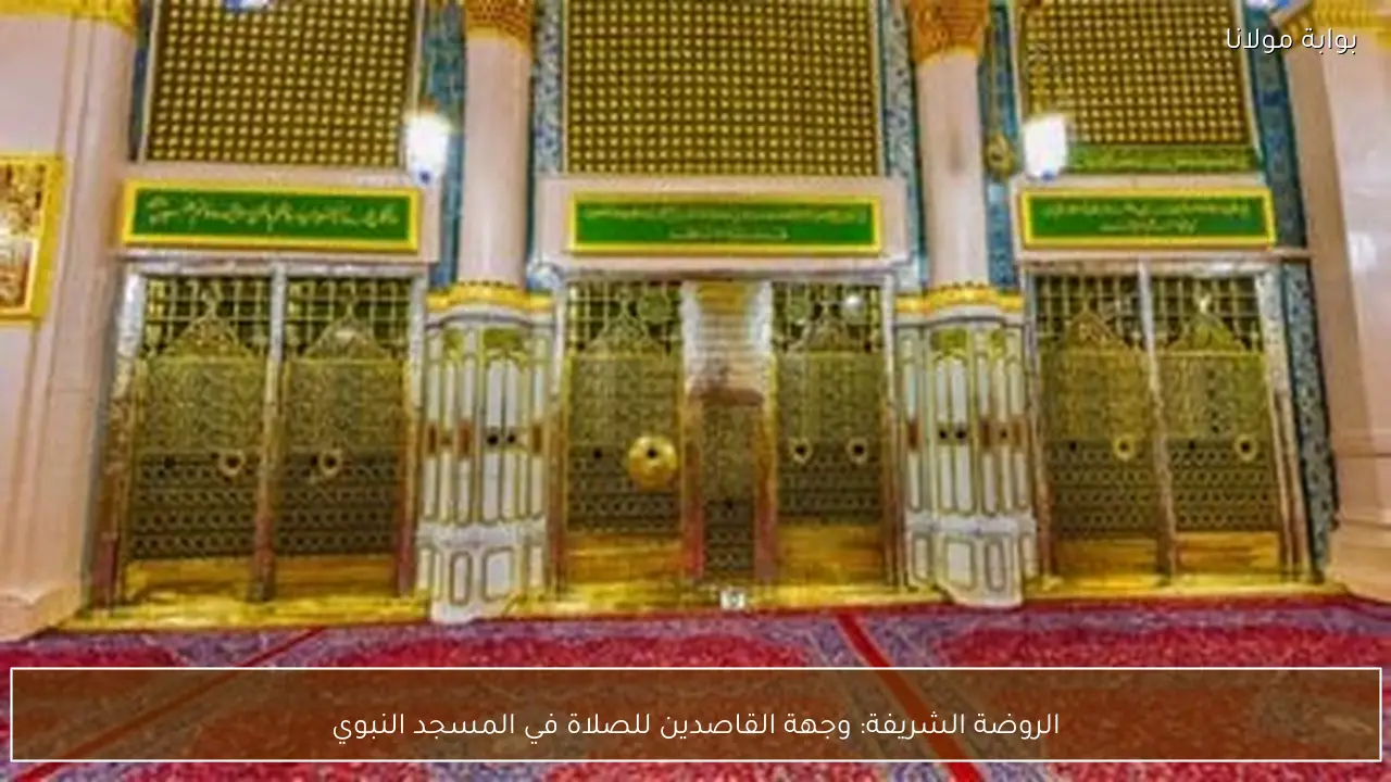 الروضة الشريفة: وجهة القاصدين للصلاة في المسجد النبوي