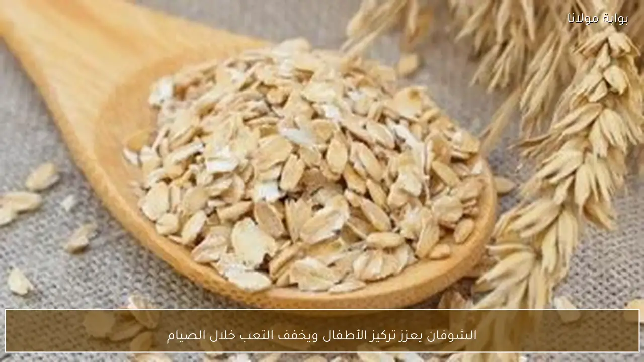 الشوفان يعزز تركيز الأطفال ويخفف التعب خلال الصيام