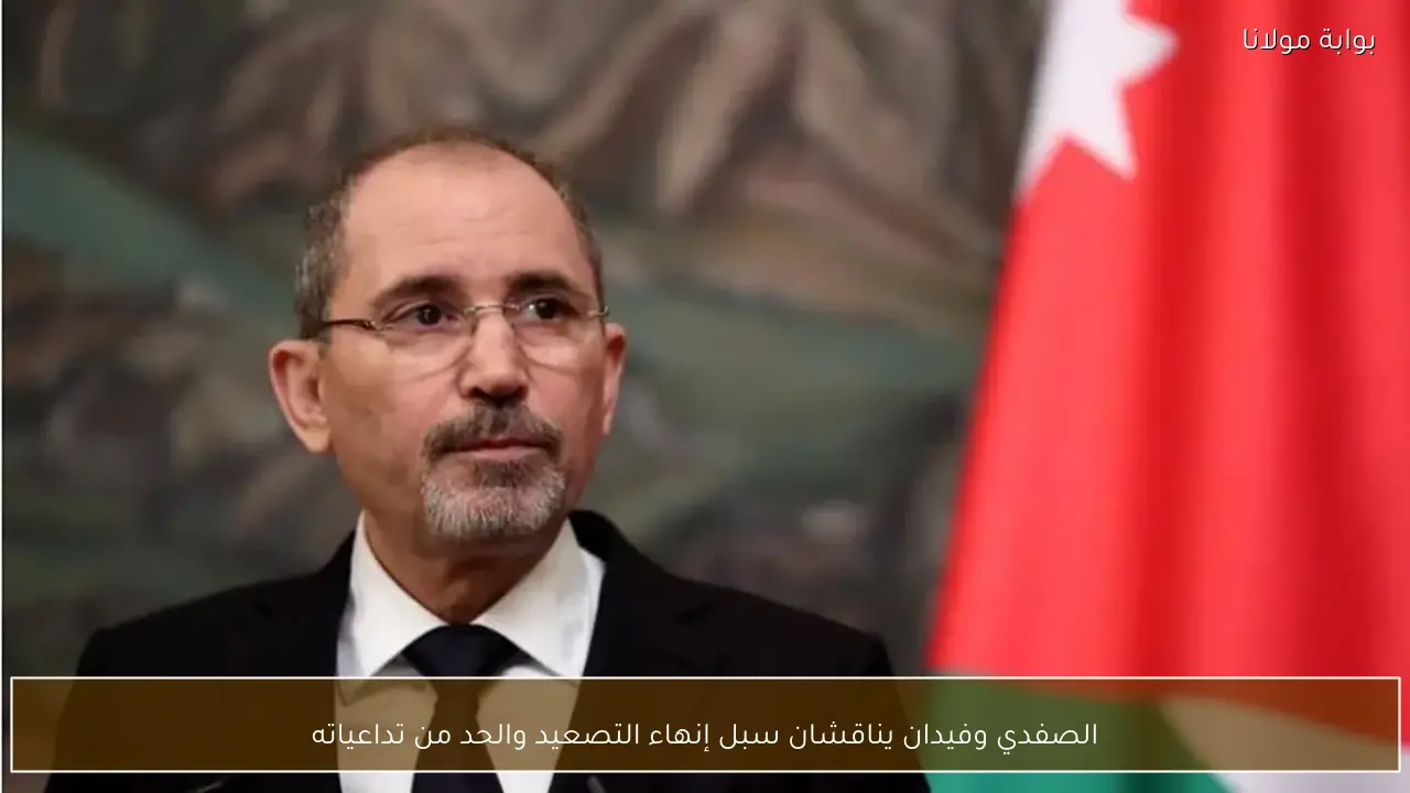 الصفدي وفيدان يناقشان سبل إنهاء التصعيد والحد من تداعياته