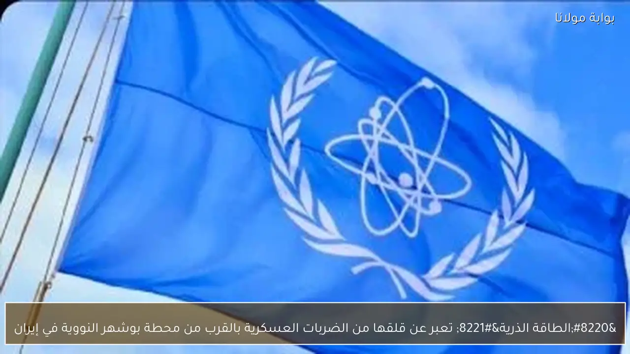 “الطاقة الذرية” تعبر عن قلقها من الضربات العسكرية بالقرب من محطة بوشهر النووية في إيران