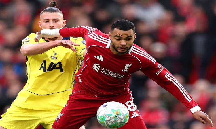 ليفربول ضد توتنهام