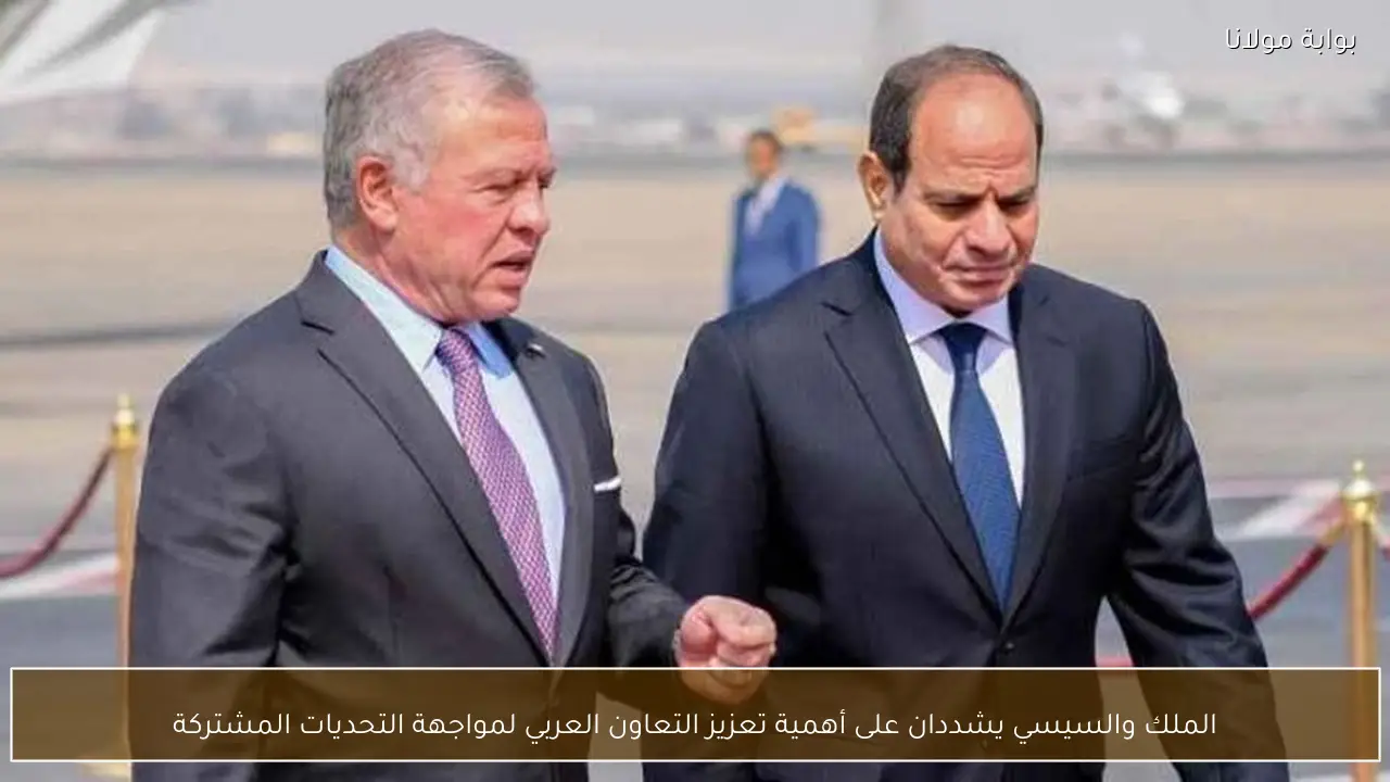 الملك والسيسي يشددان على أهمية تعزيز التعاون العربي لمواجهة التحديات المشتركة