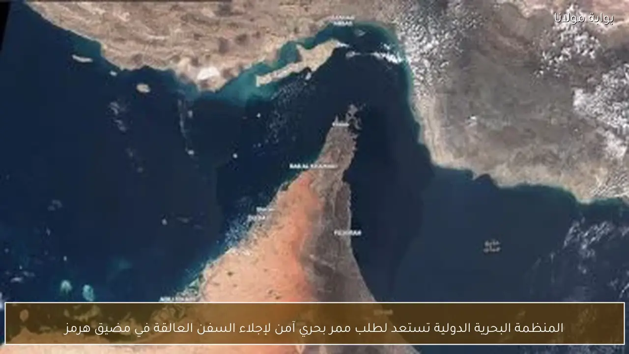 المنظمة البحرية الدولية تستعد لطلب ممر بحري آمن لإجلاء السفن العالقة في مضيق هرمز