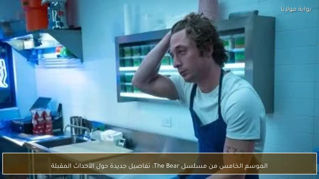 الموسم الخامس من مسلسل The Bear: تفاصيل جديدة حول الأحداث المقبلة