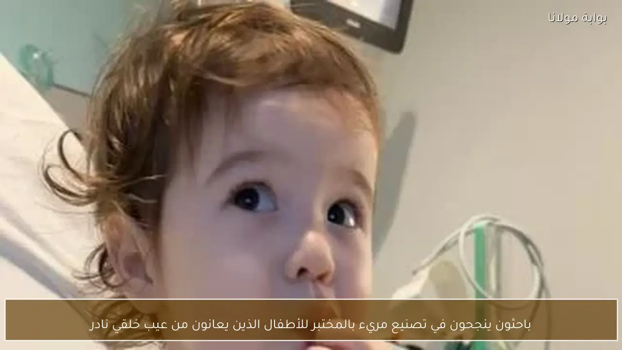 باحثون ينجحون في تصنيع مريء بالمختبر للأطفال الذين يعانون من عيب خلقي نادر