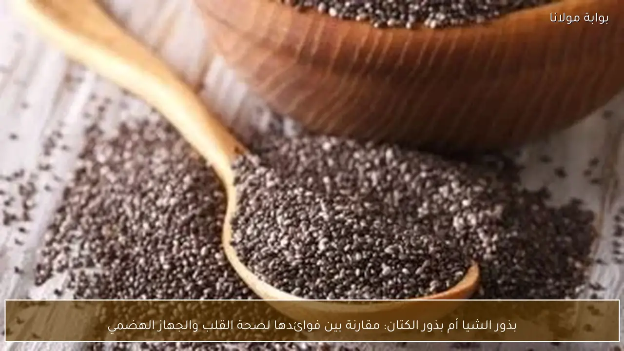 بذور الشيا أم بذور الكتان: مقارنة بين فوائدها لصحة القلب والجهاز الهضمي