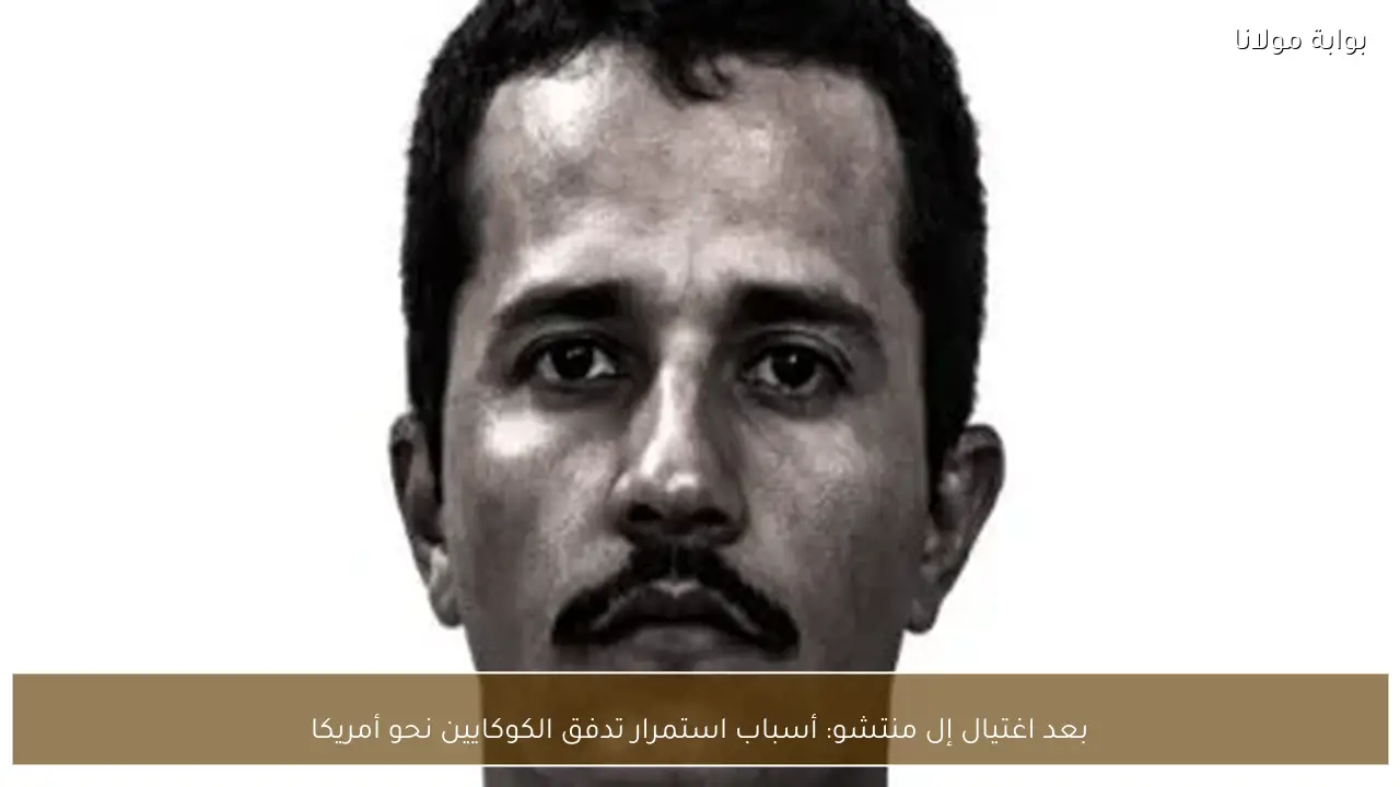 بعد اغتيال إل منتشو: أسباب استمرار تدفق الكوكايين نحو أمريكا