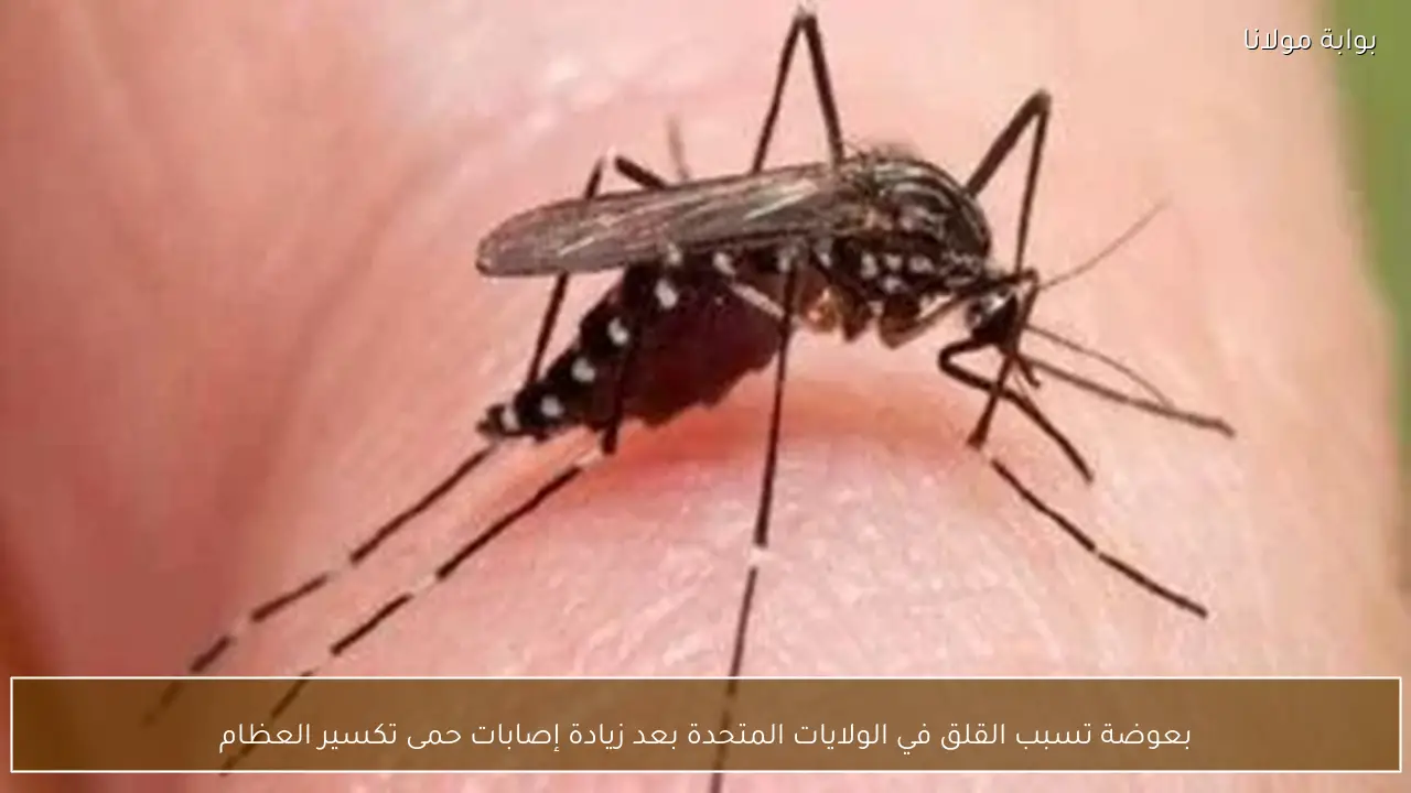 بعوضة تسبب القلق في الولايات المتحدة بعد زيادة إصابات حمى تكسير العظام