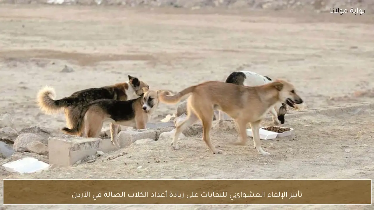 تأثير الإلقاء العشوائي للنفايات على زيادة أعداد الكلاب الضالة في الأردن