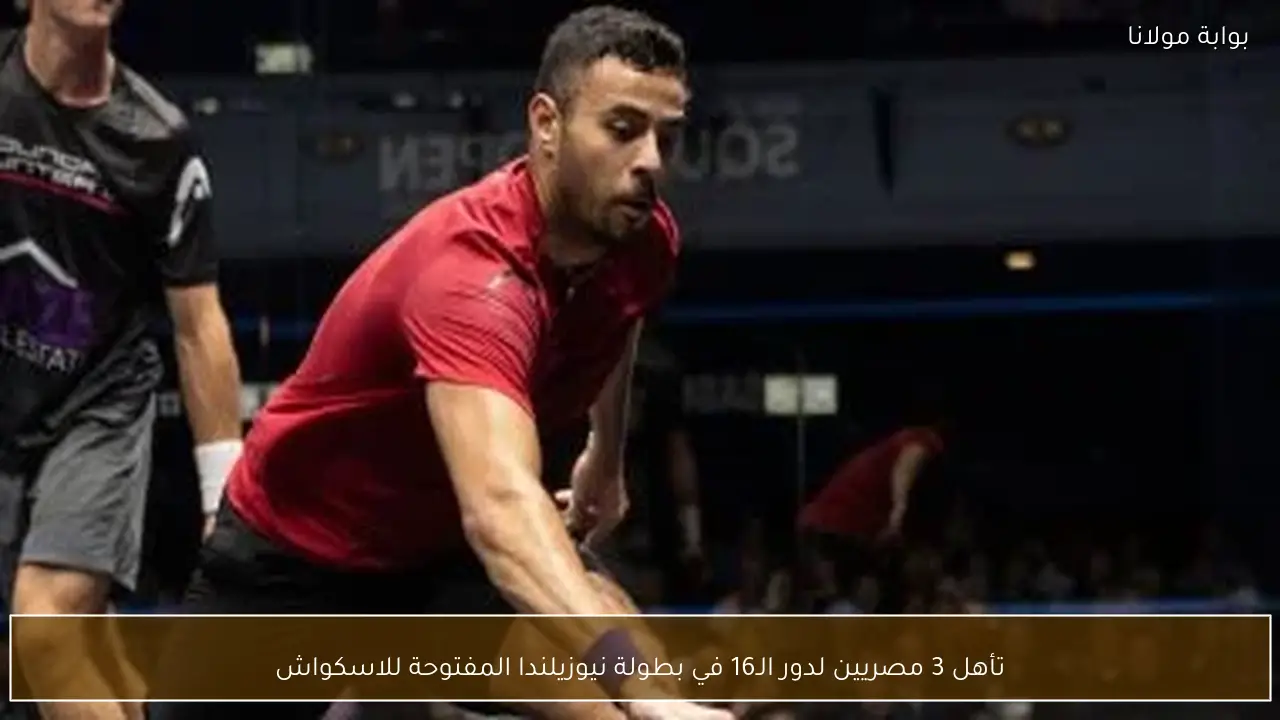 تأهل 3 مصريين لدور الـ16 في بطولة نيوزيلندا المفتوحة للاسكواش