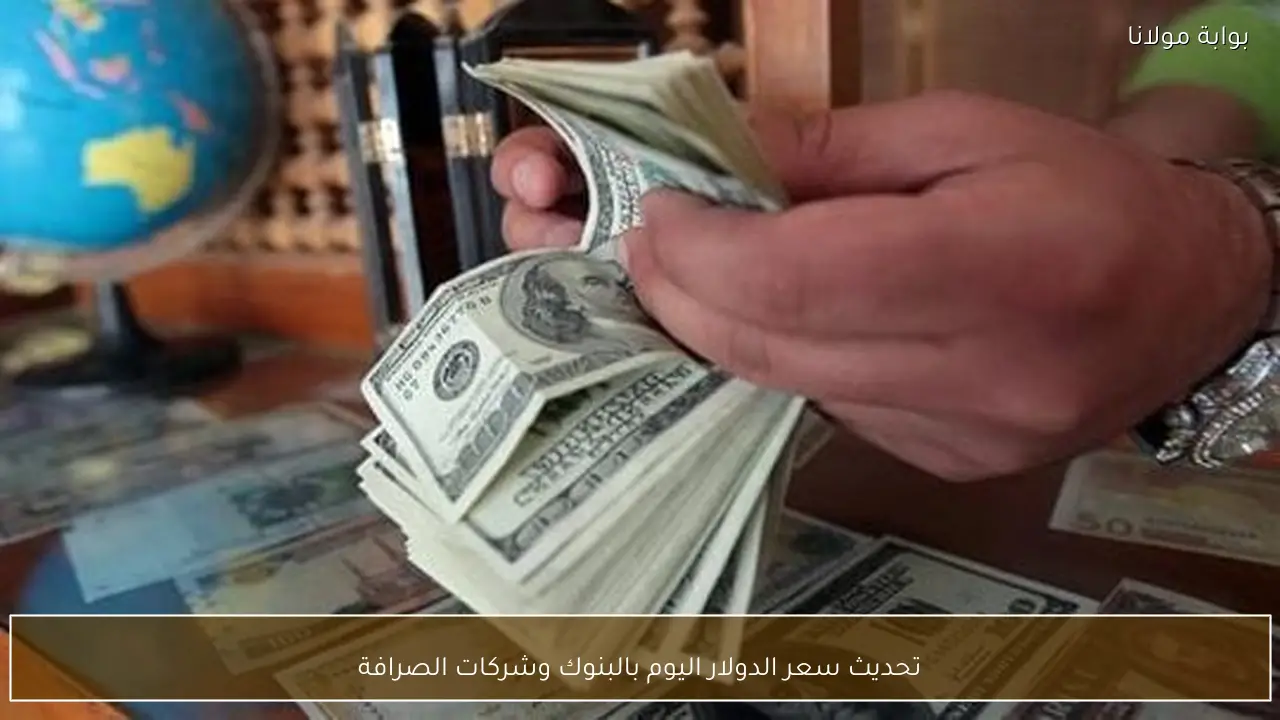 تحديث سعر الدولار اليوم بالبنوك وشركات الصرافة
