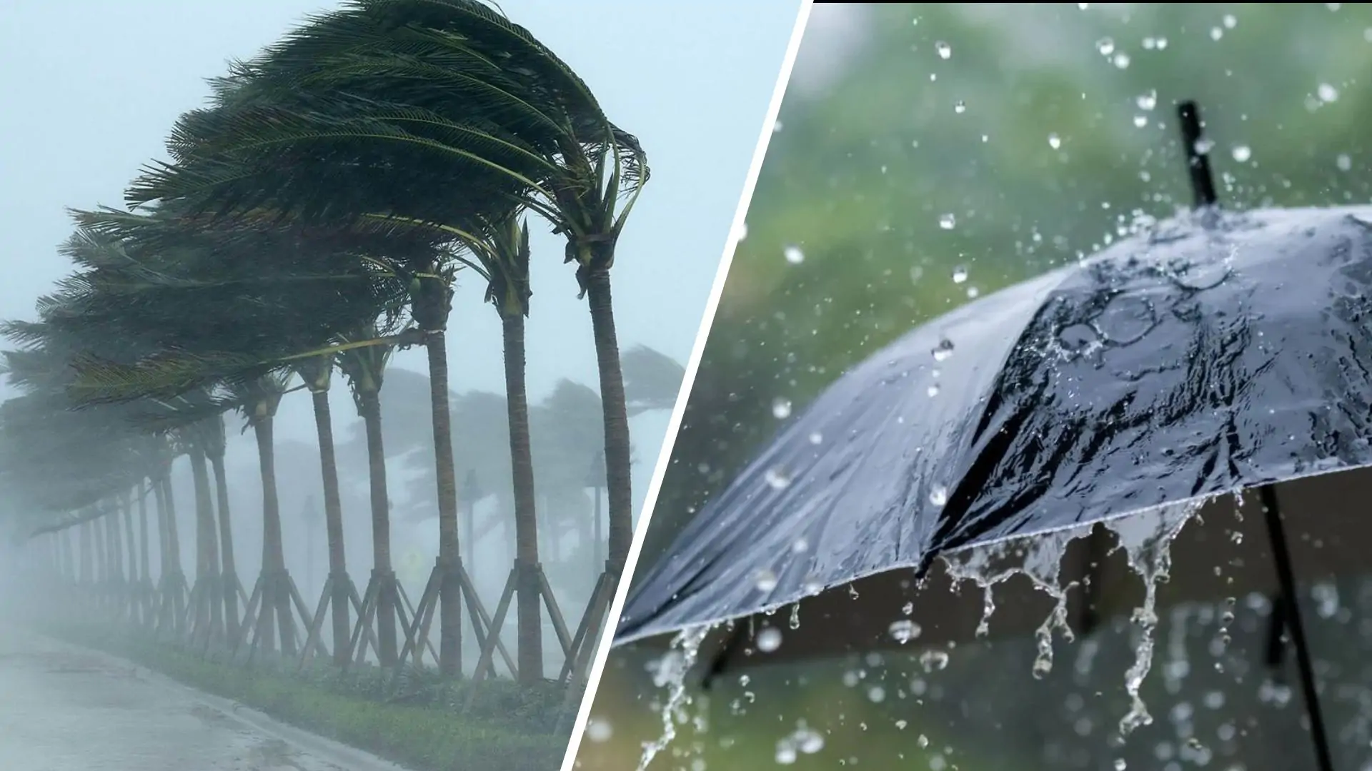 تحذيرات الأرصاد لمرضى الحساسية تطورات حالة الطقس القادمة 2 الأرصاد الجوية تعلن حالة الطقس