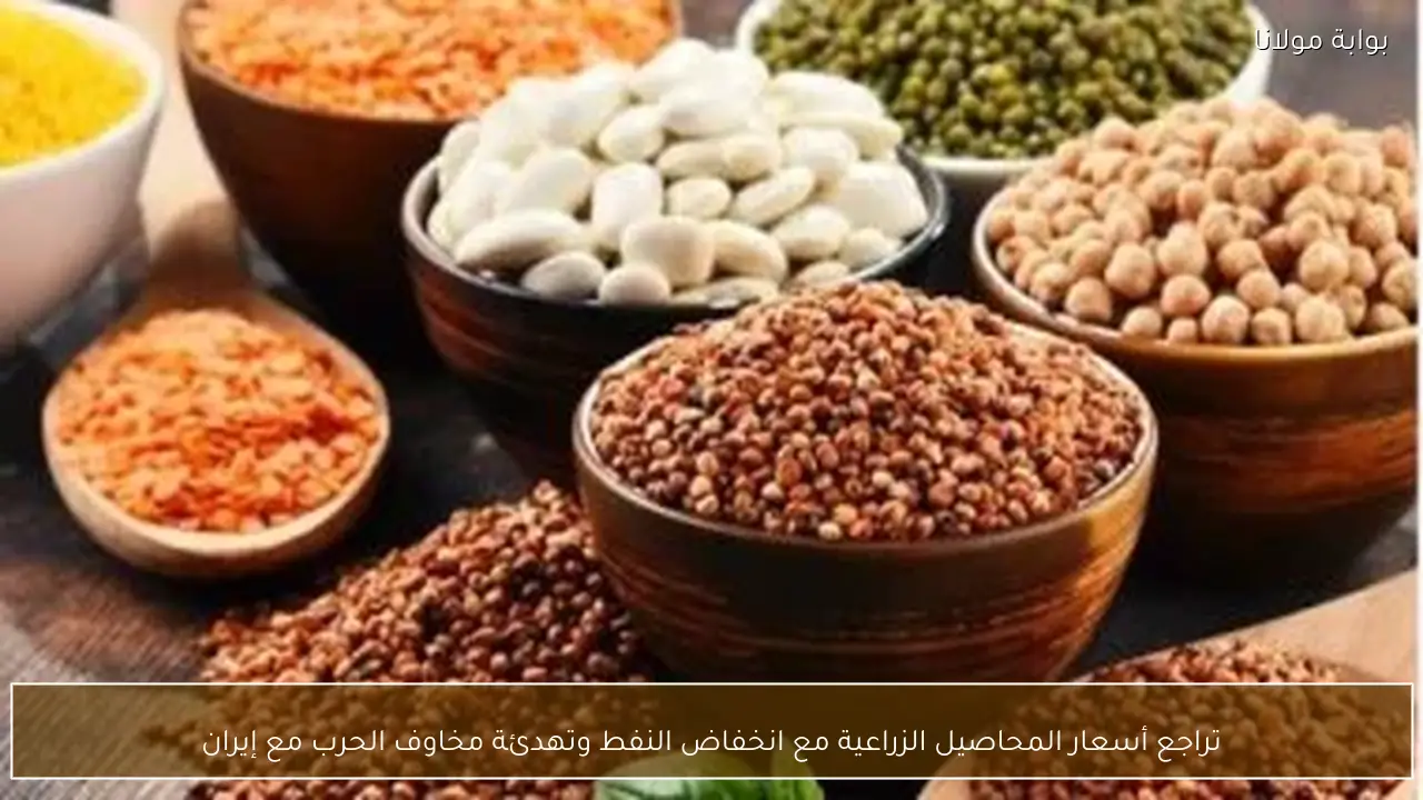 تراجع أسعار المحاصيل الزراعية مع انخفاض النفط وتهدئة مخاوف الحرب مع إيران