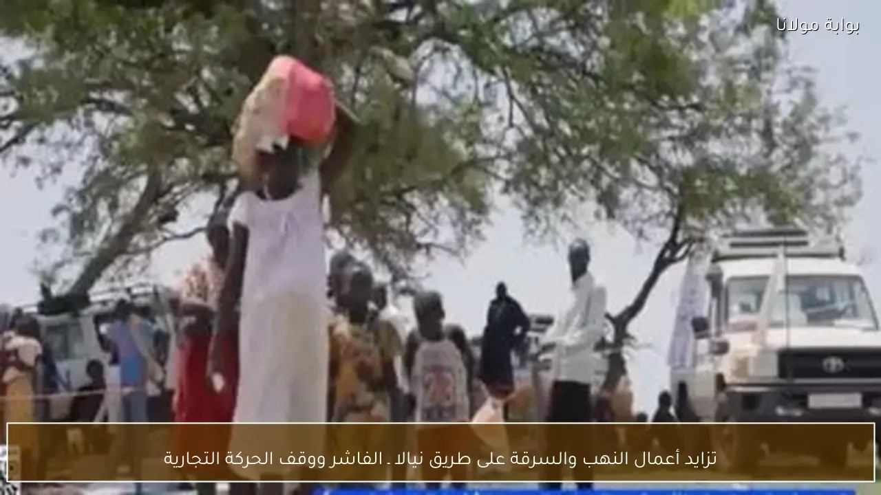 تزايد أعمال النهب والسرقة على طريق نيالا ـ الفاشر ووقف الحركة التجارية