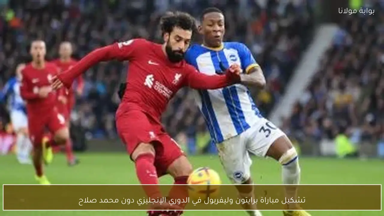 تشكيل مباراة برايتون وليفربول في الدوري الإنجليزي دون محمد صلاح
