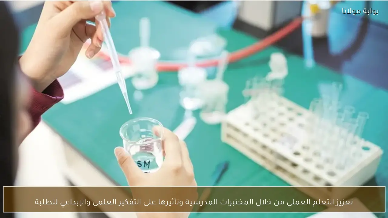 تعزيز التعلم العملي من خلال المختبرات المدرسية وتأثيرها على التفكير العلمي والإبداعي للطلبة