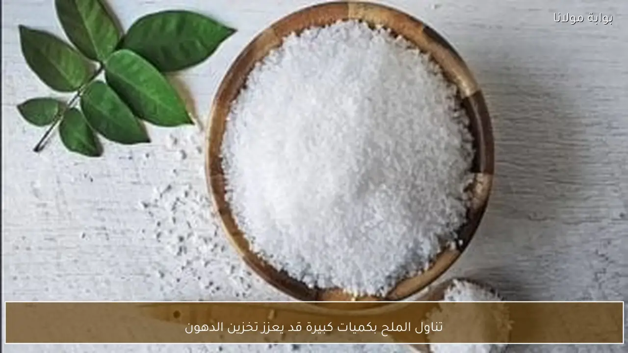 تناول الملح بكميات كبيرة قد يعزز تخزين الدهون