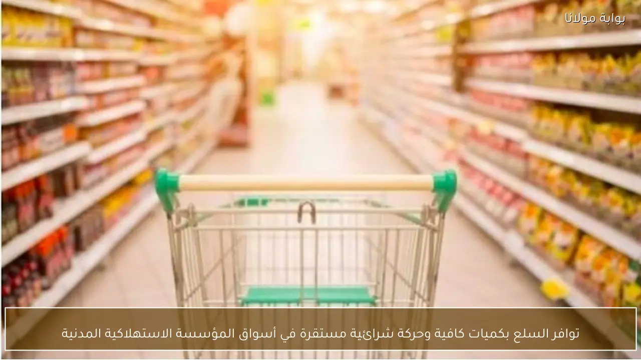 توافر السلع بكميات كافية وحركة شرائية مستقرة في أسواق المؤسسة الاستهلاكية المدنية