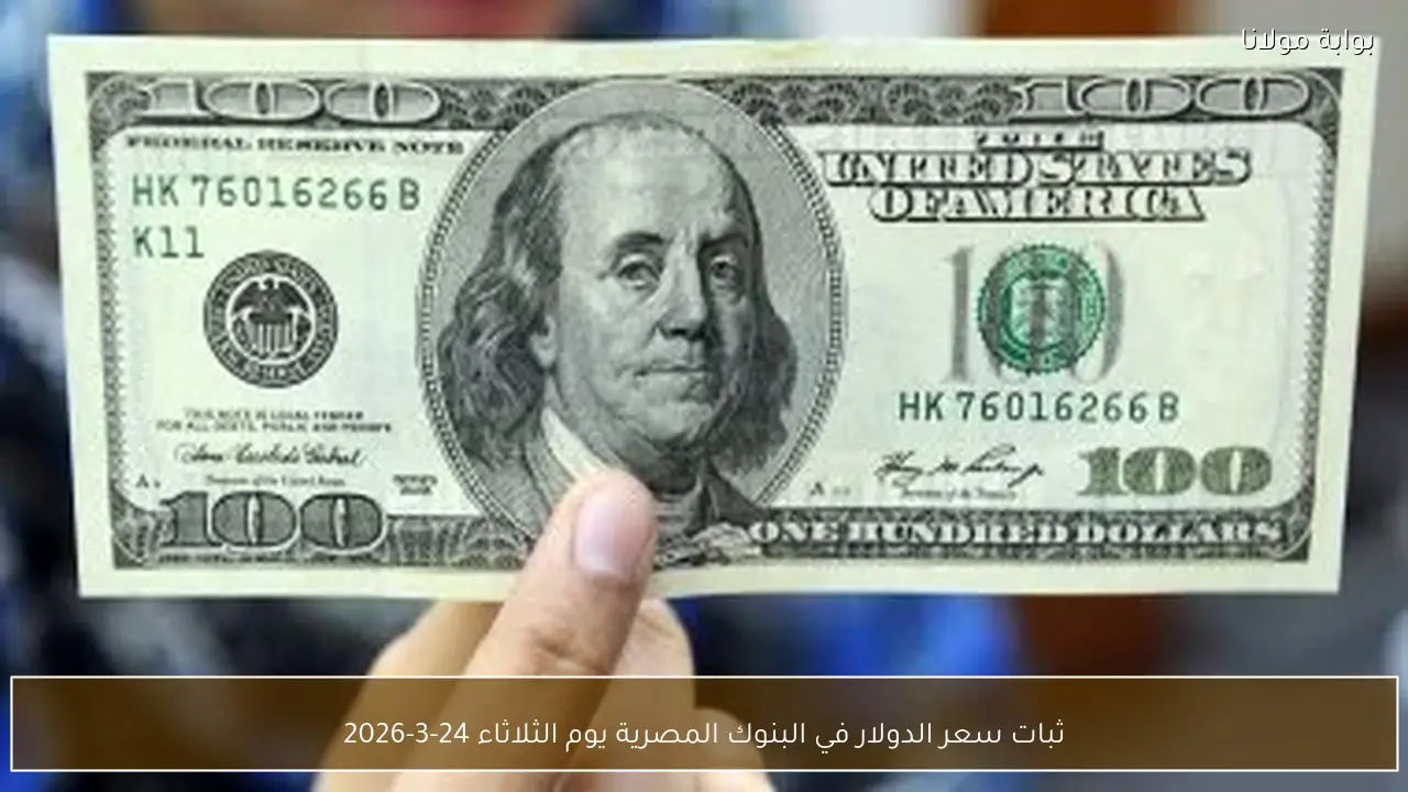 ثبات سعر الدولار في البنوك المصرية يوم الثلاثاء 24-3-2026