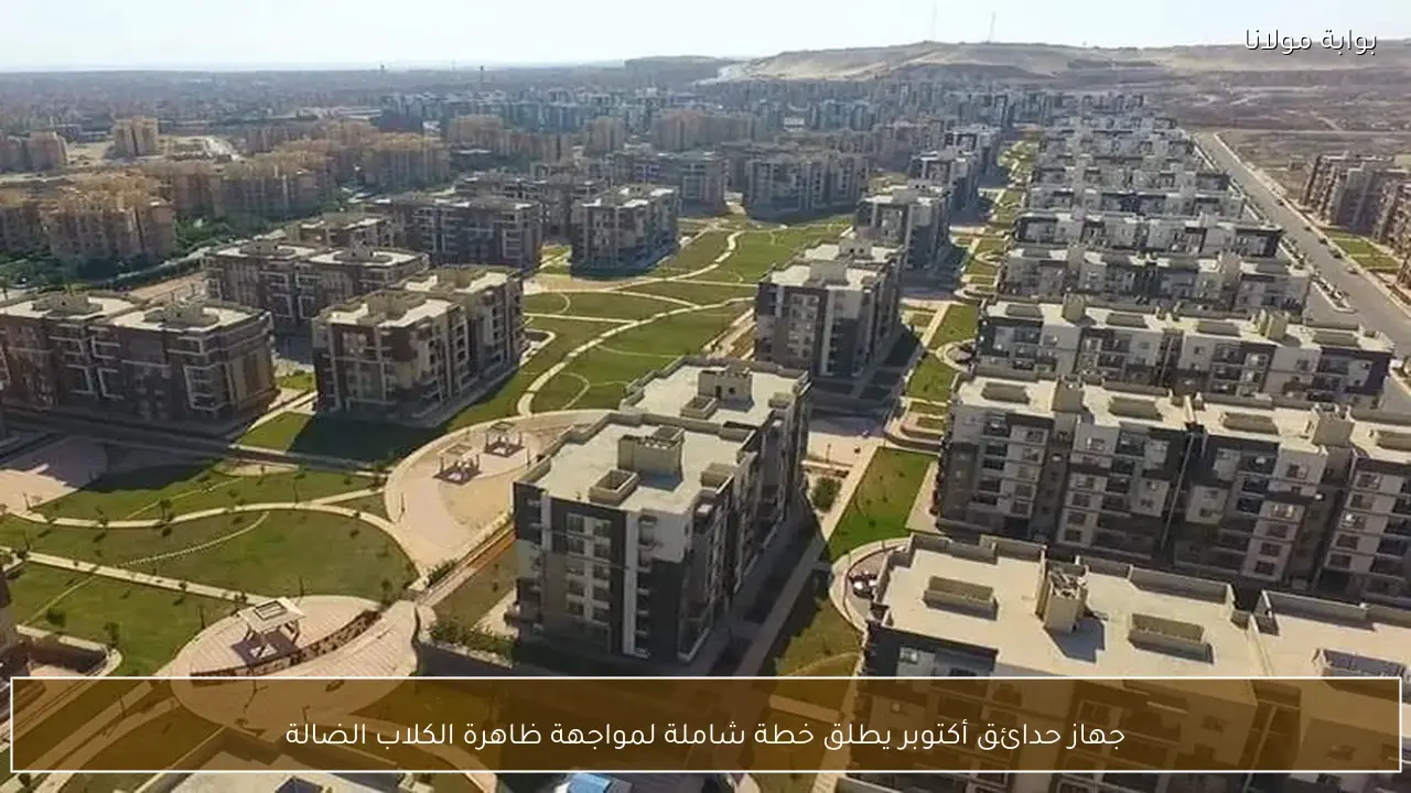 جهاز حدائق أكتوبر يطلق خطة شاملة لمواجهة ظاهرة الكلاب الضالة