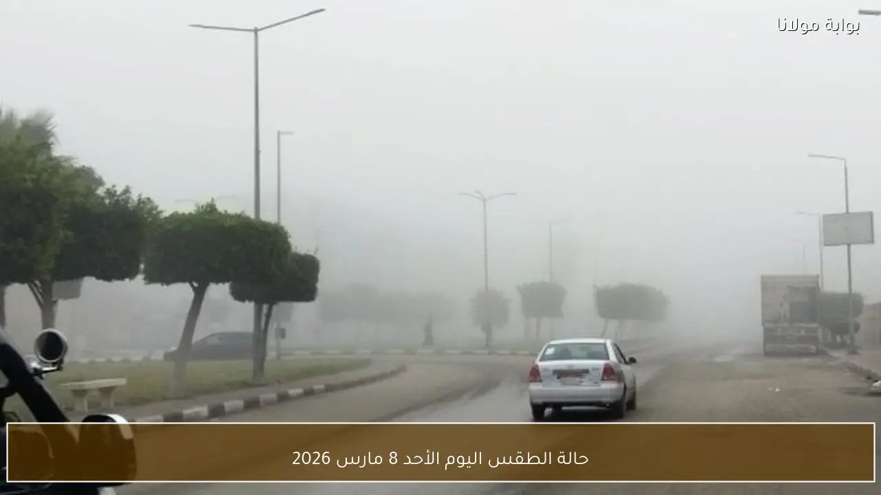 حالة الطقس اليوم الأحد 8 مارس 2026