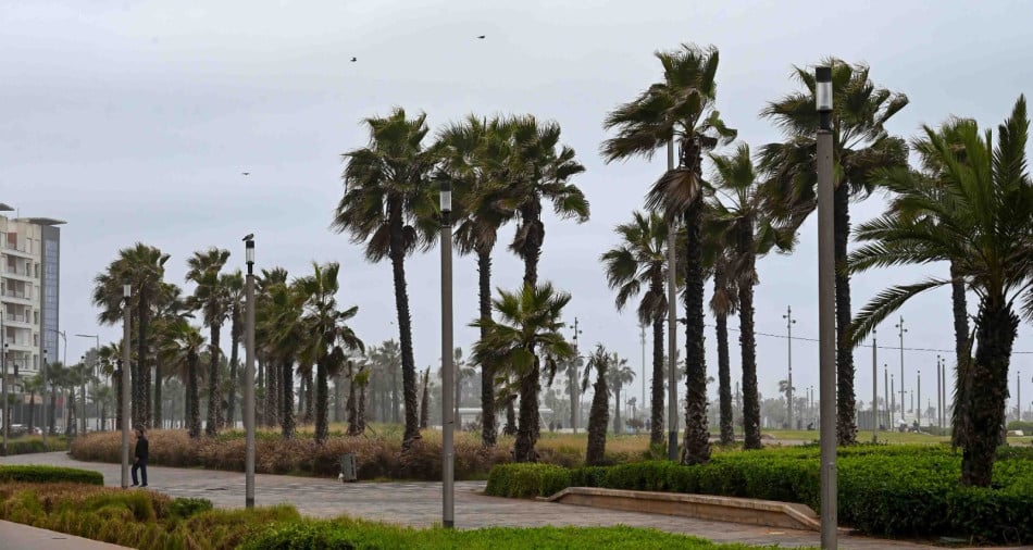 مديرية الأرصاد: طقس متقلب وبارد واستقرار مع نهاية الأسبوع