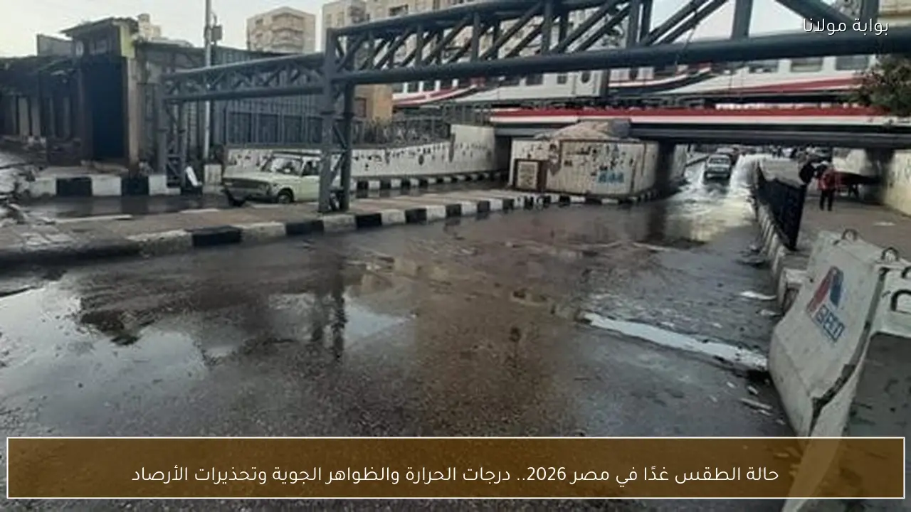 حالة الطقس غدًا في مصر 2026.. درجات الحرارة والظواهر الجوية وتحذيرات الأرصاد