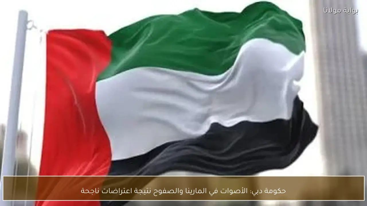 حكومة دبي: الأصوات في المارينا والصفوح نتيجة اعتراضات ناجحة