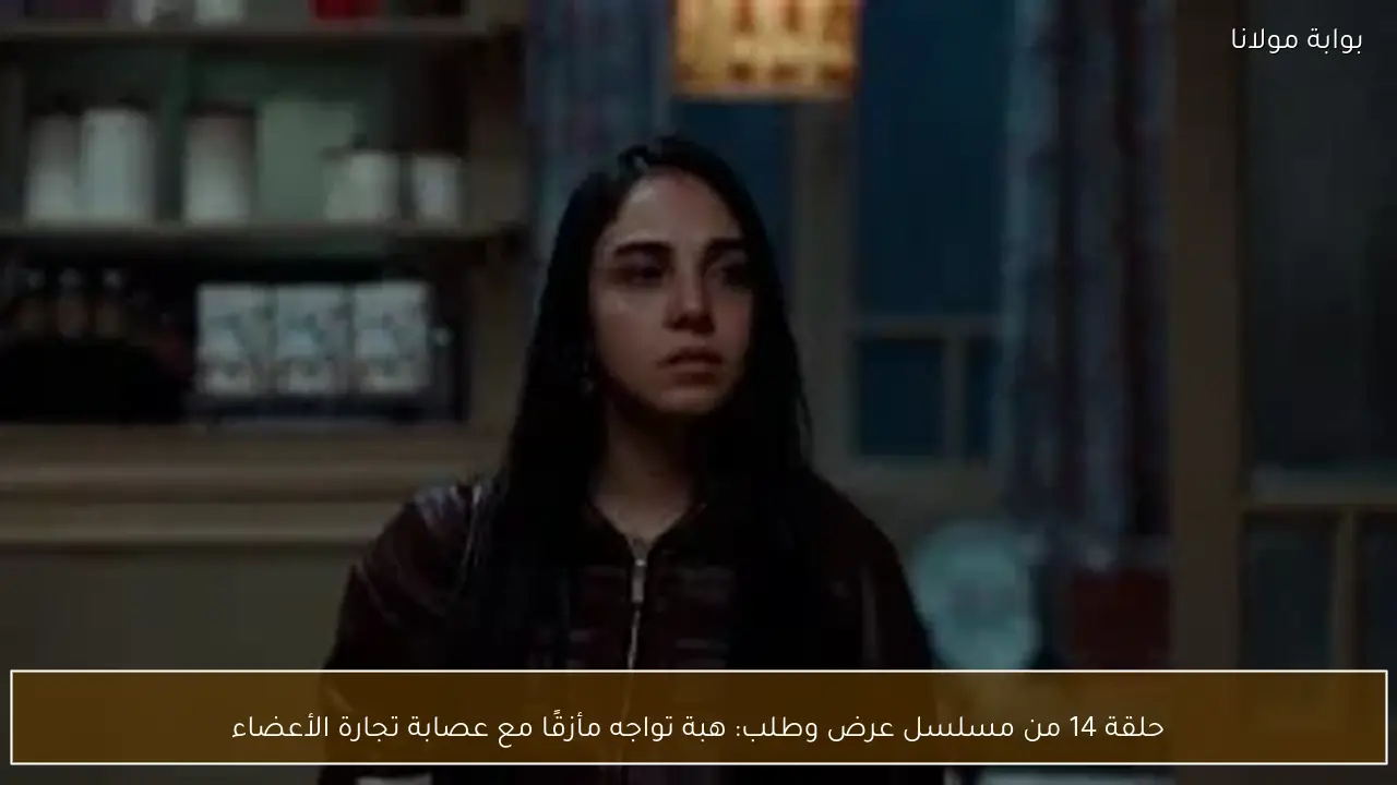 حلقة 14 من مسلسل عرض وطلب: هبة تواجه مأزقًا مع عصابة تجارة الأعضاء