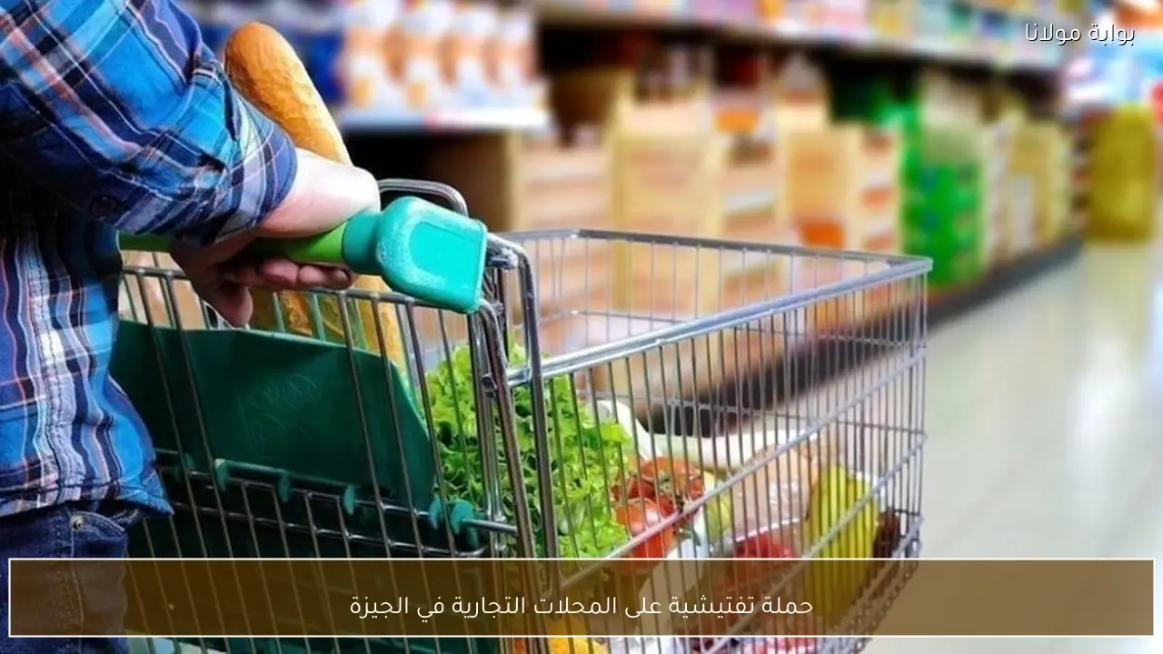 حملة تفتيشية على المحلات التجارية في الجيزة