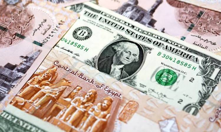سعر الدولار والجنيه