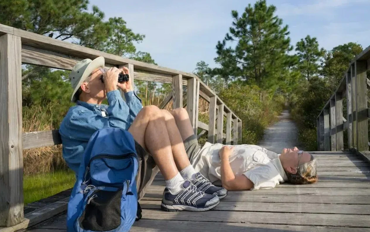 قد تكون مراقبة الطيور كهواية واحدة من أفضل الهوايات لتحسين الانتباه
