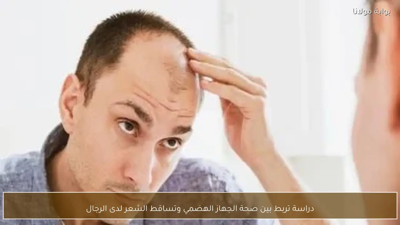 دراسة تربط بين صحة الجهاز الهضمي وتساقط الشعر لدى الرجال