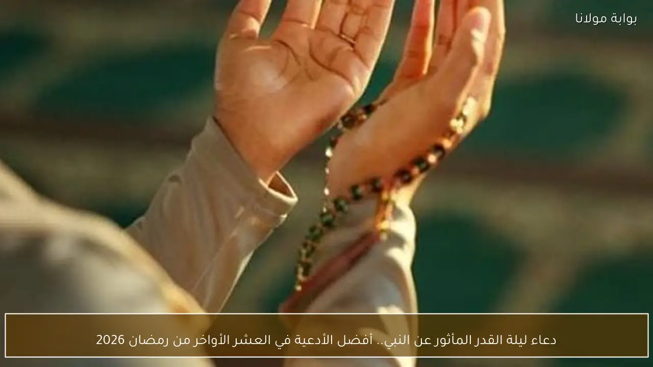 دعاء ليلة القدر المأثور عن النبي.. أفضل الأدعية في العشر الأواخر من رمضان 2026
