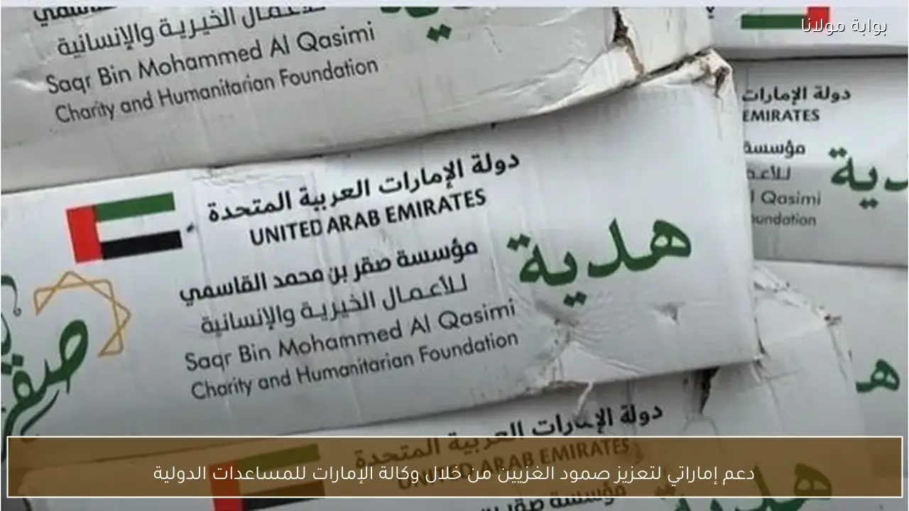 دعم إماراتي لتعزيز صمود الغزيين من خلال وكالة الإمارات للمساعدات الدولية