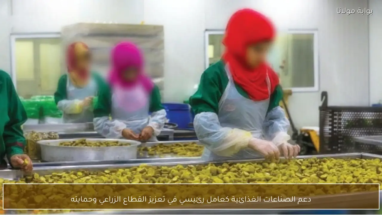 دعم الصناعات الغذائية كعامل رئيسي في تعزيز القطاع الزراعي وحمايته