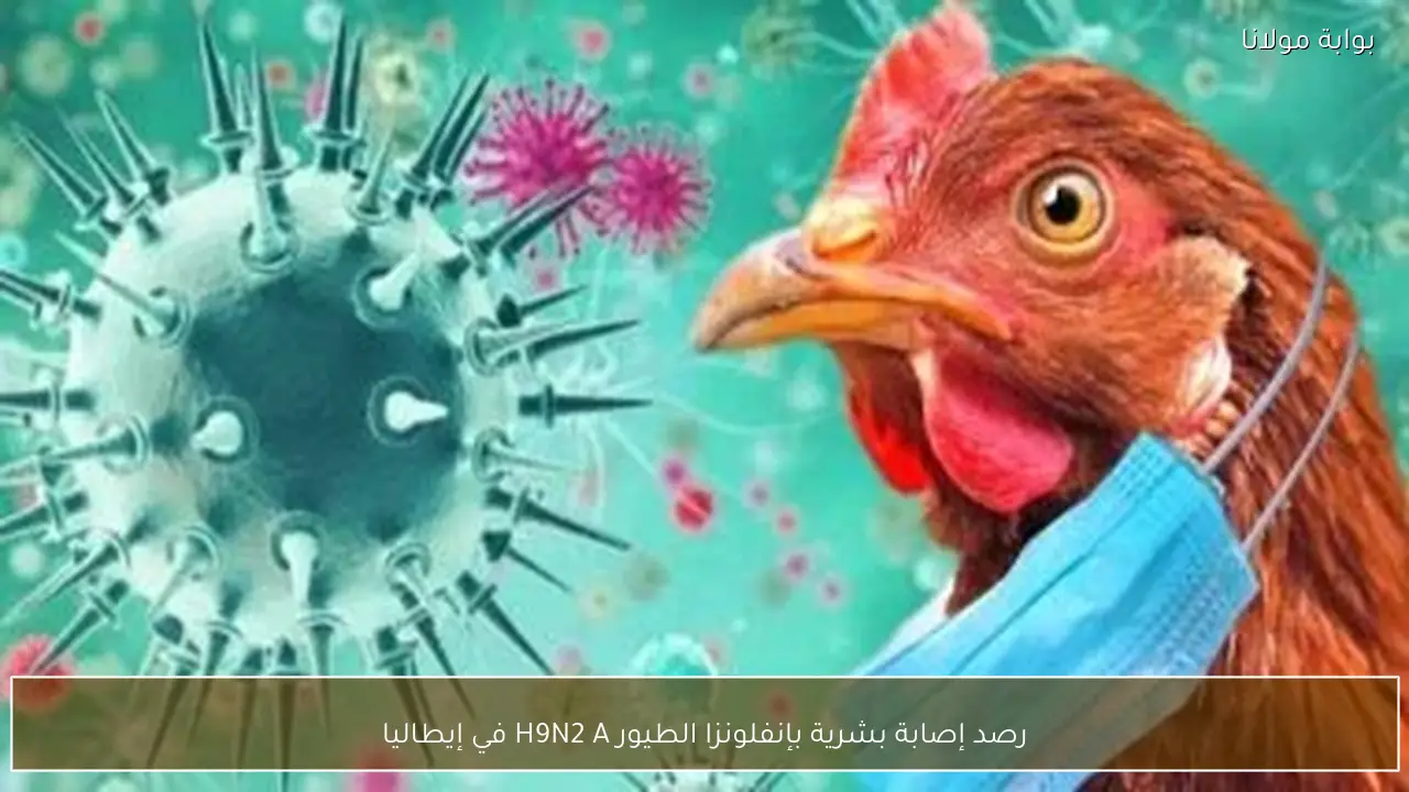 رصد إصابة بشرية بإنفلونزا الطيور H9N2 A في إيطاليا