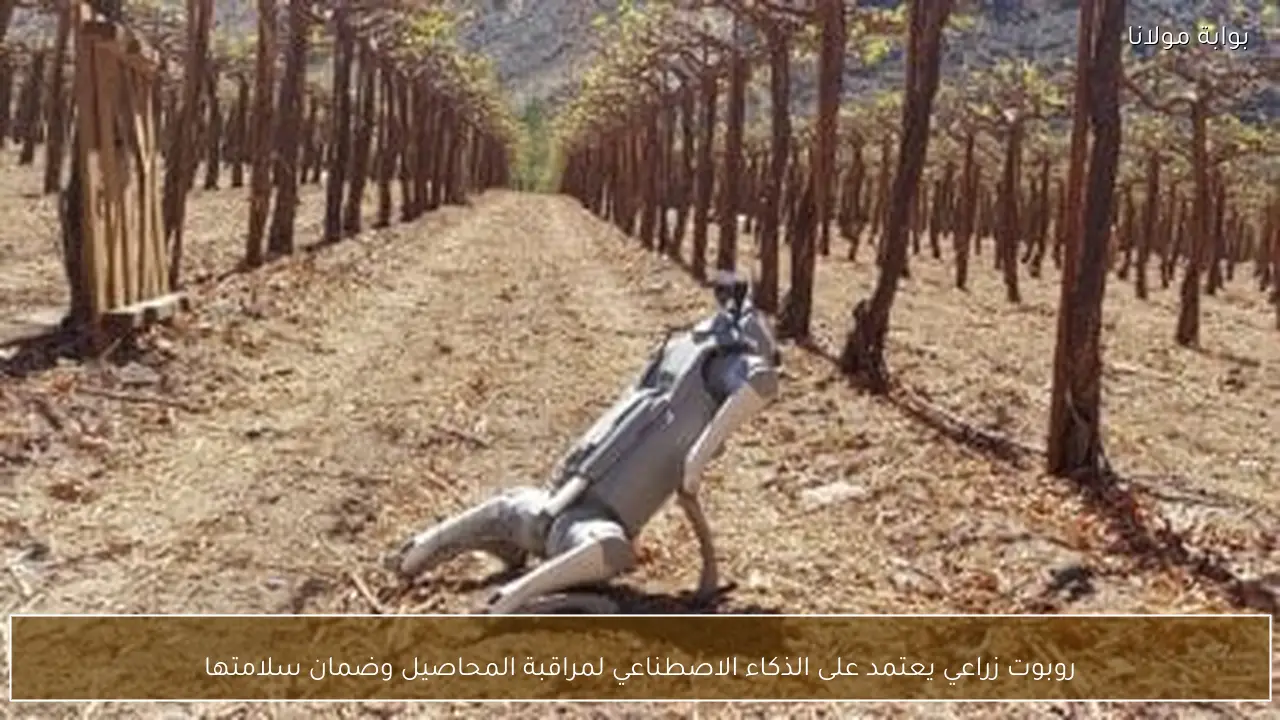 روبوت زراعي يعتمد على الذكاء الاصطناعي لمراقبة المحاصيل وضمان سلامتها