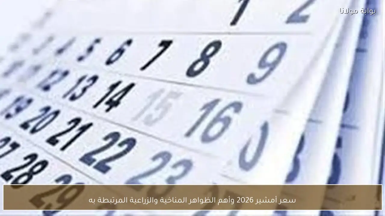 سعر أمشير 2026 وأهم الظواهر المناخية والزراعية المرتبطة به