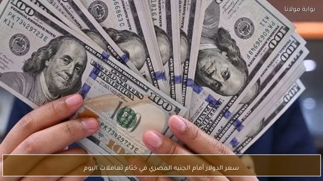 سعر الدولار أمام الجنيه المصري في ختام تعاملات اليوم