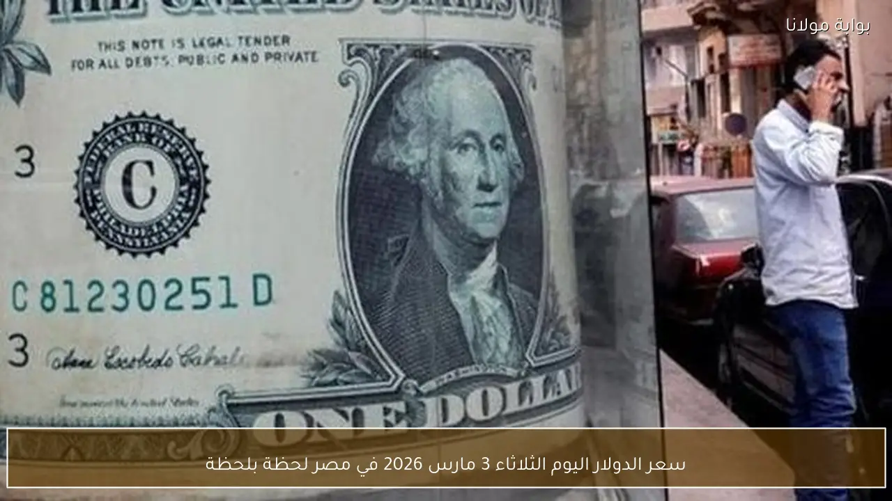 سعر الدولار اليوم الثلاثاء 3 مارس 2026 في مصر لحظة بلحظة