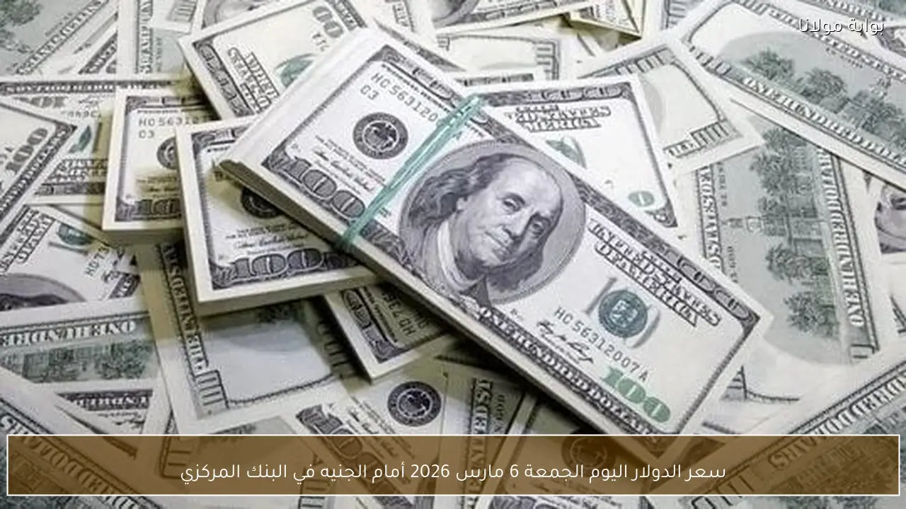 سعر الدولار اليوم الجمعة 6 مارس 2026 أمام الجنيه في البنك المركزي