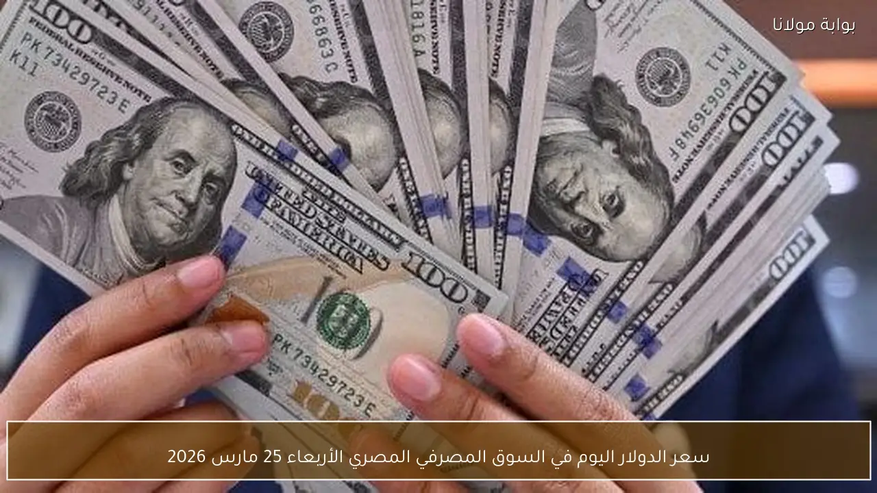 سعر الدولار اليوم في السوق المصرفي المصري الأربعاء 25 مارس 2026