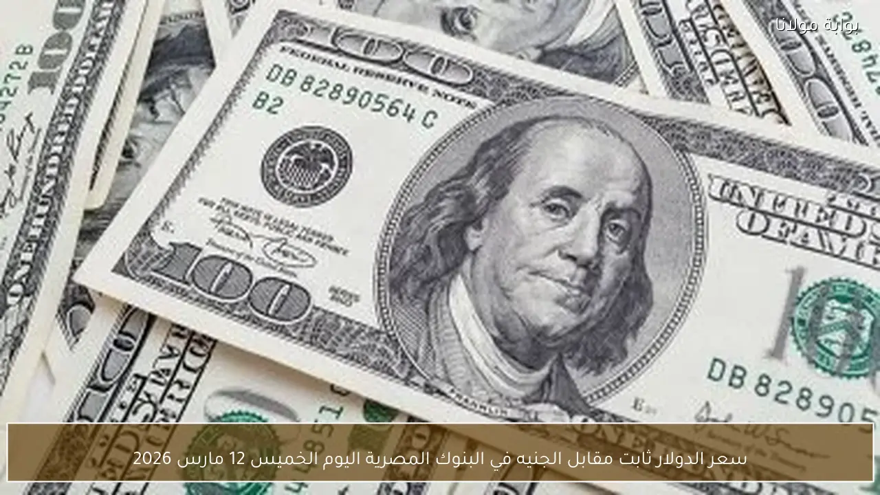 سعر الدولار ثابت مقابل الجنيه في البنوك المصرية اليوم الخميس 12 مارس 2026