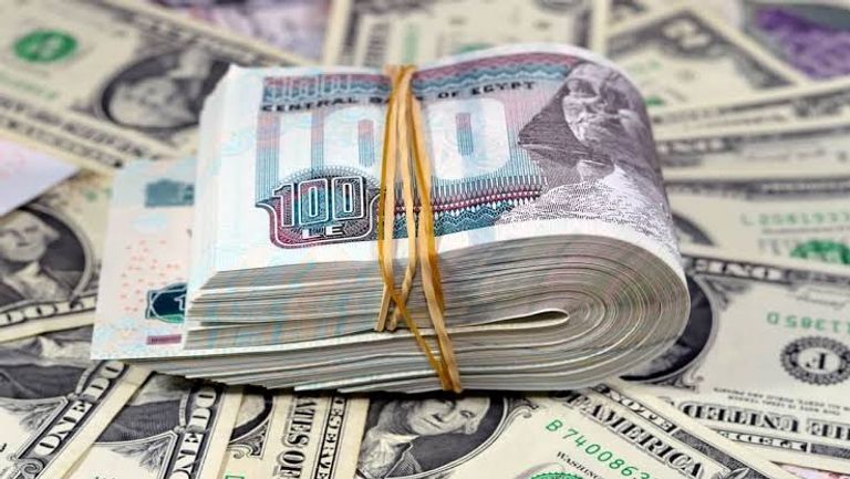 سعر الدولار في مصر