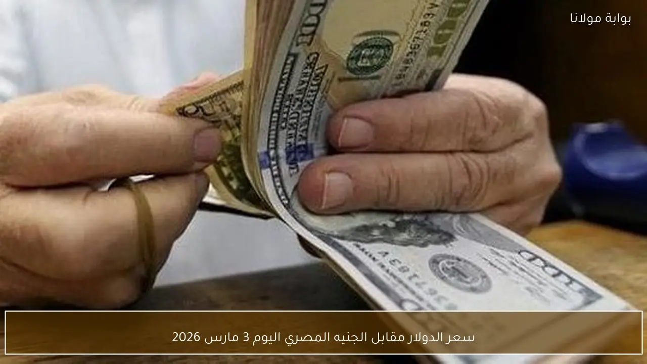 سعر الدولار مقابل الجنيه المصري اليوم 3 مارس 2026