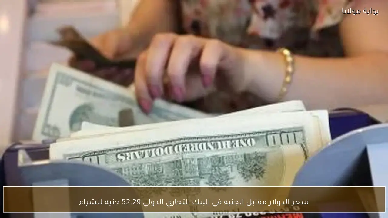 سعر الدولار مقابل الجنيه في البنك التجاري الدولي 52.29 جنيه للشراء